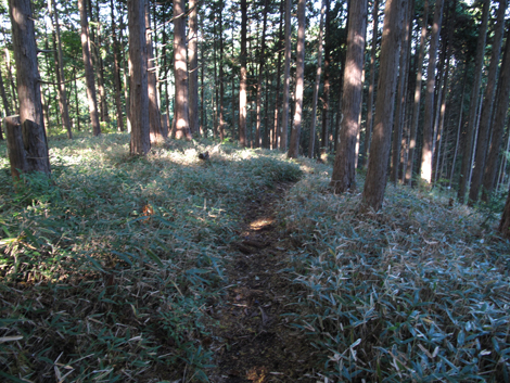 20171026hike (268)